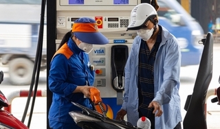 Giá xăng hôm nay ngày 25/9/2024: Trong nước và thế giới ra sao?