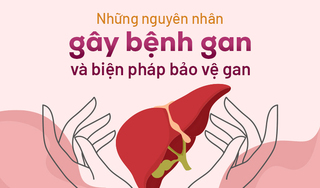 Những nguyên nhân gây bệnh gan và biện pháp bảo vệ gan