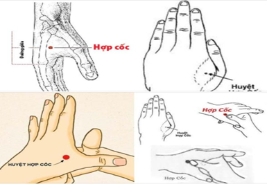 Bật mí cách chống say xe ô tô không ai ngờ!