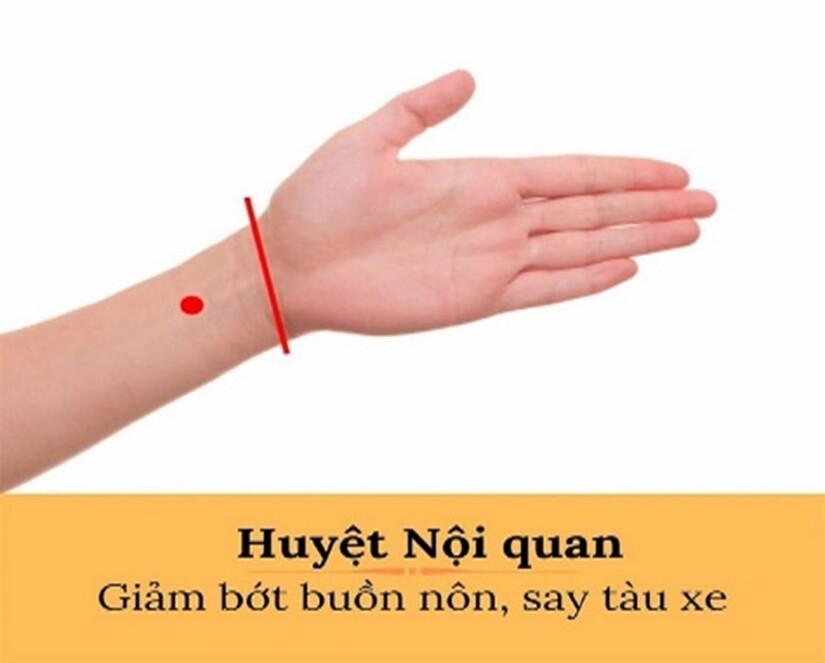 Bật mí cách chống say xe ô tô không ai ngờ!