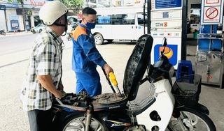 Giá xăng hôm nay ngày 1/10/2024: Biến động ra sao?