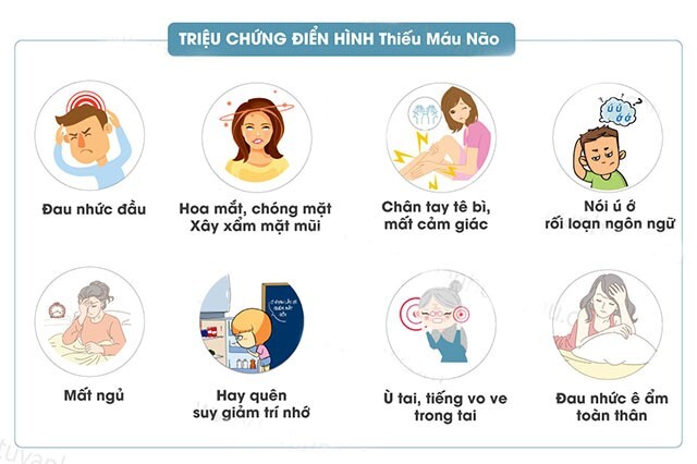 Thiếu máu não có nguy hiểm không? Những con số cảnh báo