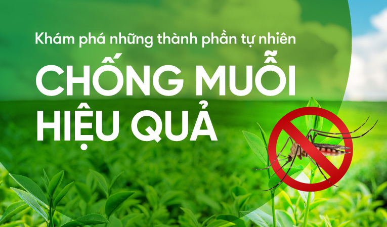 Khám phá những thành phần tự nhiên chống muỗi hiệu quả