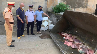 Ngăn chặn hơn 2 tạ nội tạng động vật bốc mùi hôi thối trên đường đi tiêu thụ