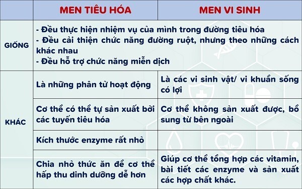 Đừng nhầm lẫn men tiêu hóa và men vi sinh!