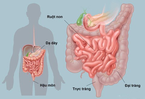 Những nguyên nhân và cách đối phó với cơn đau bụng lúc gần sáng