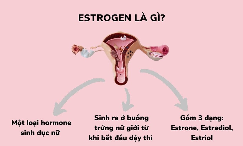 Các biện pháp giúp duy trì cân bằng nội tiết tố nữ estrogen