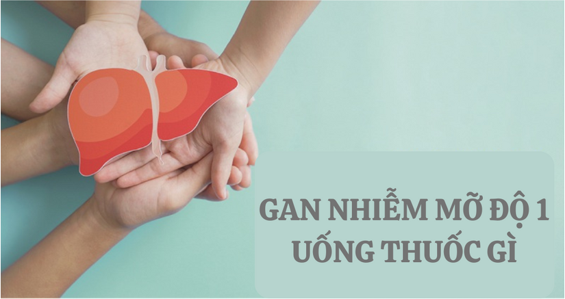 Gan nhiễm mỡ độ 1 là gì? Uống thuốc gì để điều trị?