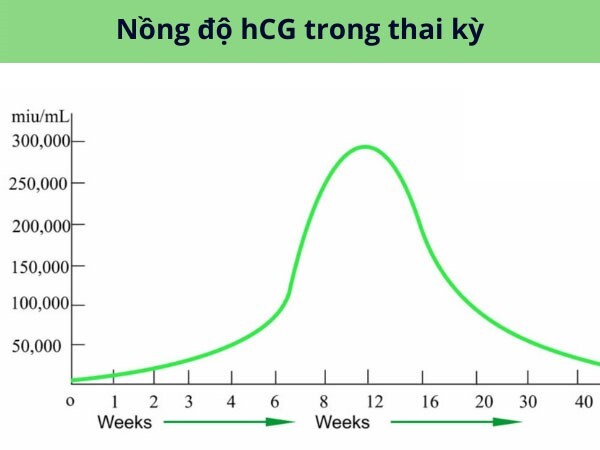 Que thử thai 2 vạch nhưng vẫn có kinh: Nguyên nhân do đâu?