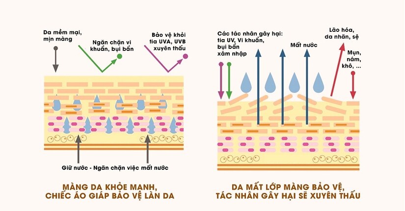 Độ pH của sữa rửa mặt bao nhiêu là tốt?