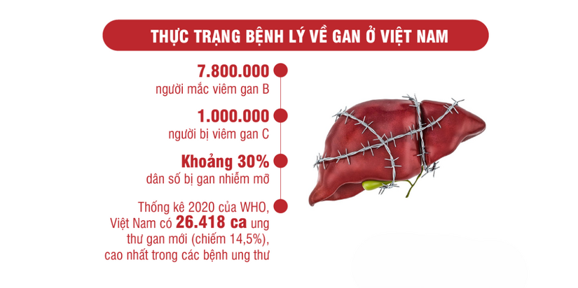 Bảo vệ và tái tạo gan: Không khó như nhiều người vẫn nghĩ! 