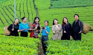 Cùng BTV Ngọc Bamboo và Ăn cùng bà Tuyết trải nghiệm một ngày đầy thú vị tại vùng đất chè nổi tiếng Thái Nguyên