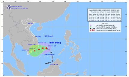 Chủ động ứng phó với bão số 10