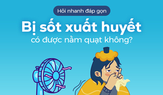 Hỏi nhanh đáp gọn: Khi bị sốt xuất huyết có được nằm quạt không?