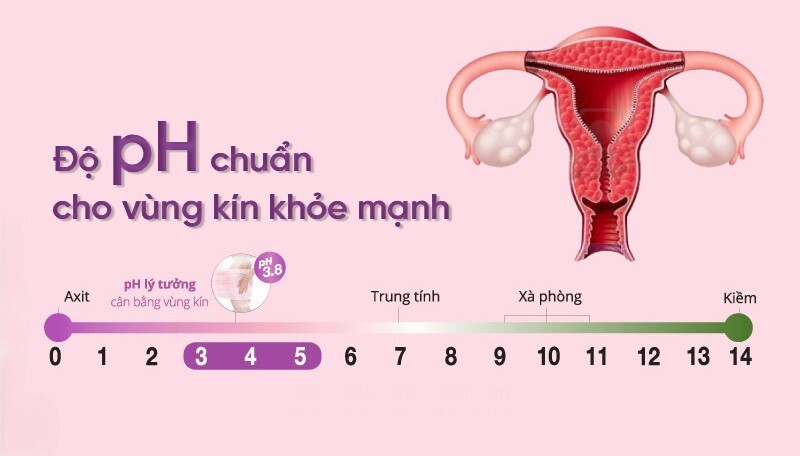 Dung dịch vệ sinh phụ nữ dịu nhẹ Bí quyết chăm sóc vùng kín khỏe mạnh