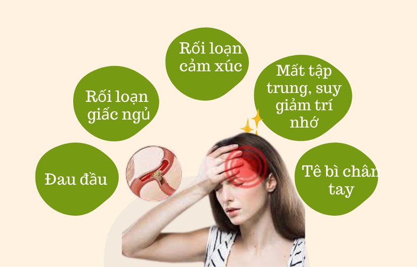 Rối loạn tuần hoàn não nên ăn gì? Chế độ dinh dưỡng phù hợp