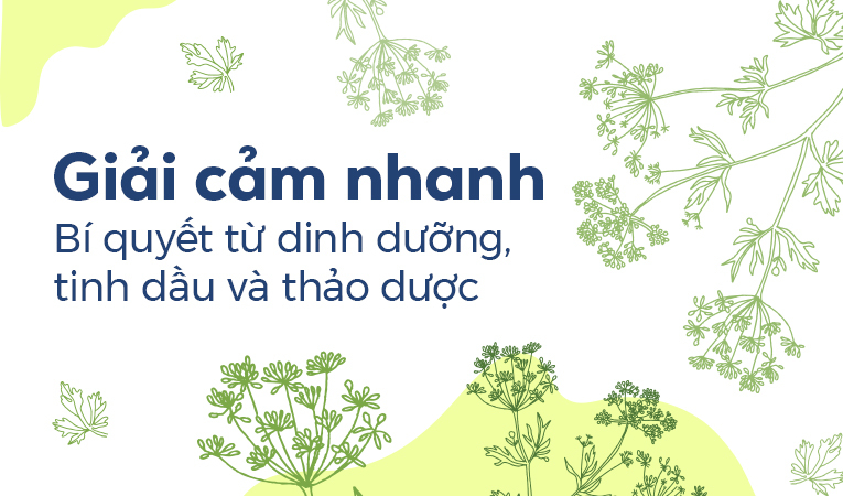 Giải cảm nhanh: Bí quyết từ dinh dưỡng, tinh dầu và thảo dược