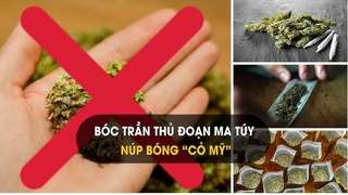 Khởi tố 2 học sinh ở Thanh Hoá liên quan đến ‘cỏ Mỹ’