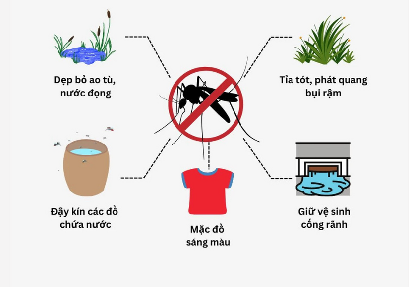 Xịt và lăn Antimuoi Nhất Nhất – Phòng và chống muỗi đốt