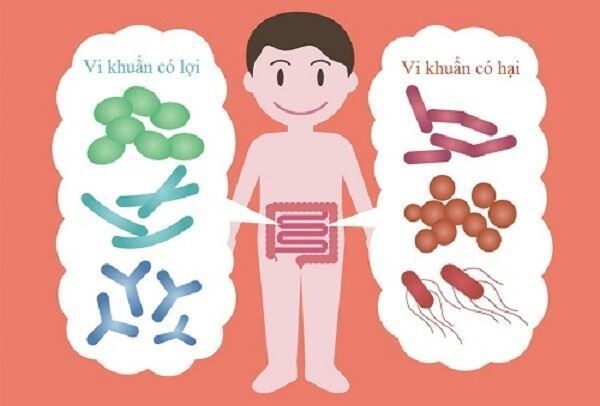 Giải đáp: Có nên bổ sung men vi sinh cho bé thường xuyên?