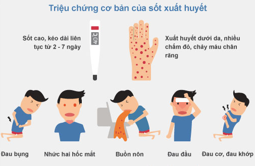 Xử lý sốt xuất huyết tại nhà: Những điều cần biết để bảo vệ sức khỏe