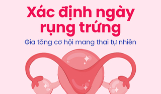 Xác định ngày rụng trứng – Gia tăng cơ hội mang thai tự nhiên