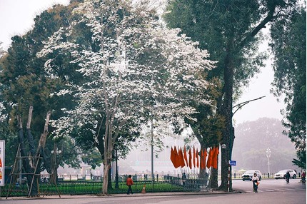 Giới trẻ đi gần 30 km đến những con phố sầm uất của Hà Nội chỉ để làm điều này