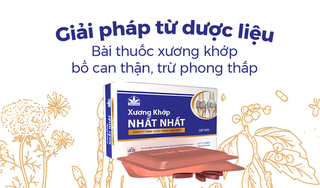 Giải pháp dược liệu: Bài thuốc xương khớp bổ can thận, trừ phong thấp