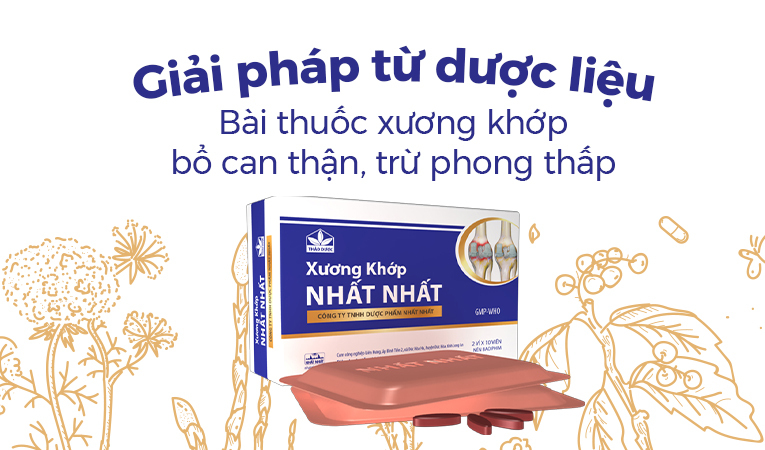 Giải pháp dược liệu: Bài thuốc xương khớp bổ can thận, trừ phong thấp