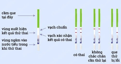 Thử que sau bao nhiêu ngày quan hệ để có kết quả chính xác?