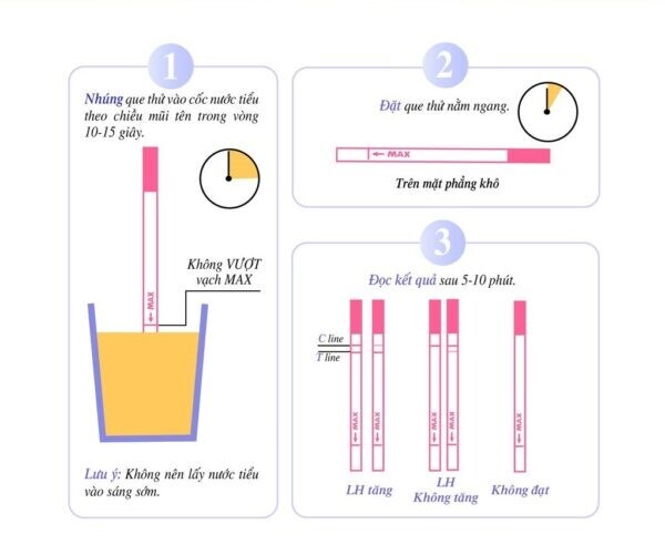 Giải đáp: Que thử rụng trứng lên 2 vạch trong mấy ngày?