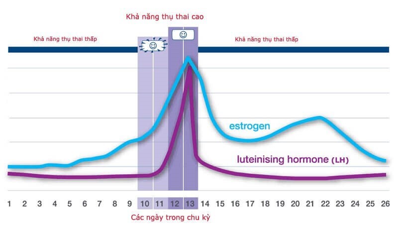 Giải đáp: Que thử rụng trứng lên 2 vạch trong mấy ngày?