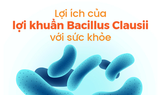 Lợi ích của lợi khuẩn Bacillus Clausii với sức khỏe