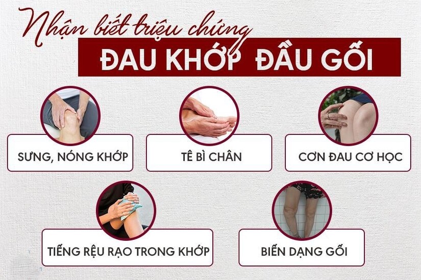 Đau khớp gối khi đứng lên ngồi xuống – Coi chừng!