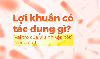 Lợi khuẩn có tác dụng gì? Vai trò của vi sinh vật “tốt” trong cơ thể
