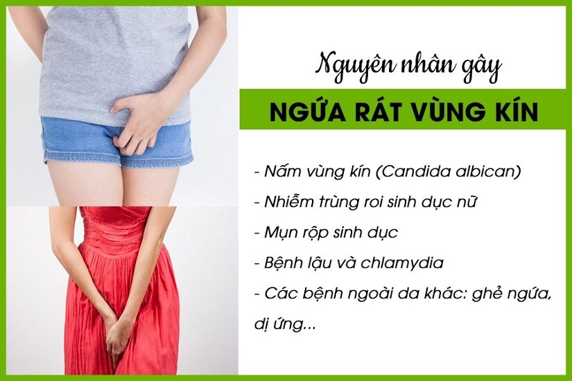 Vùng kín bị ngứa rát: Nguyên nhân và cách xử lý