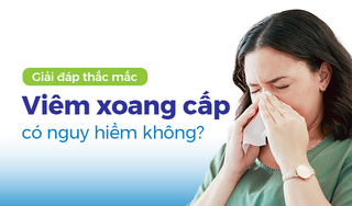 Giải đáp thắc mắc: Viêm xoang cấp có nguy hiểm không? 
