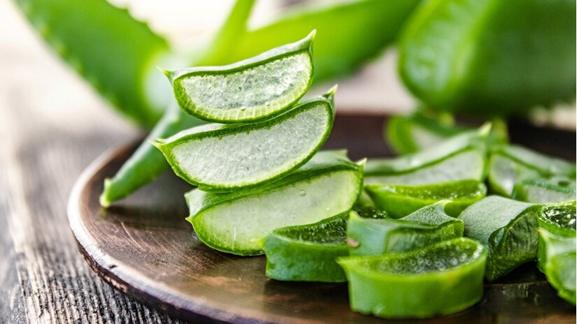 Cách làm giảm ngứa khi bị côn trùng đốt: Đừng gãi, hãy thử cách này!