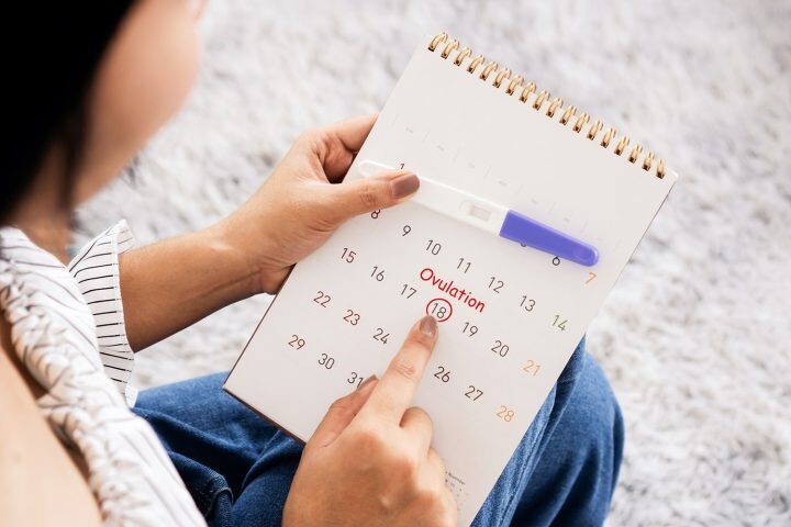 Bao lâu thì rụng trứng một lần? Các biện pháp thử rụng trứng