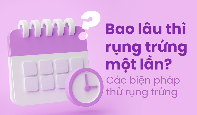 Bao lâu thì rụng trứng một lần? Các biện pháp thử rụng trứng