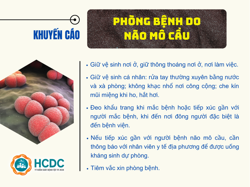 Bệnh não mô cầu gia tăng ở khu vực phía Nam