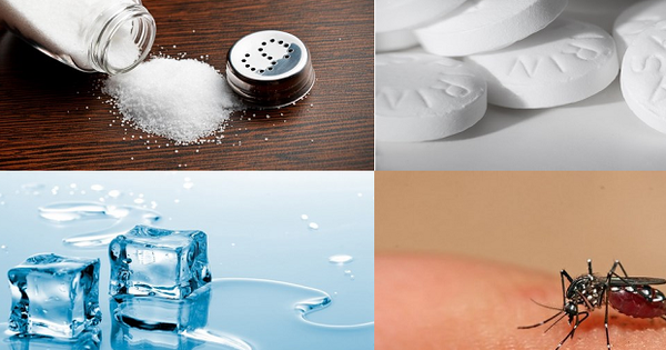 Chỉ dẫn cách xử lý vết côn trùng cắn sưng đỏ ngứa