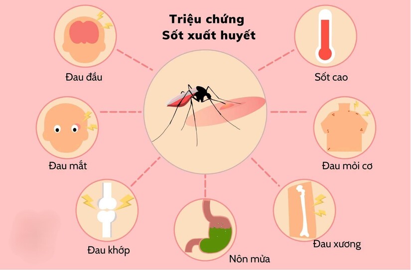 Bị sốt xuất huyết nên ăn trái cây gì để nhanh khỏi bệnh?