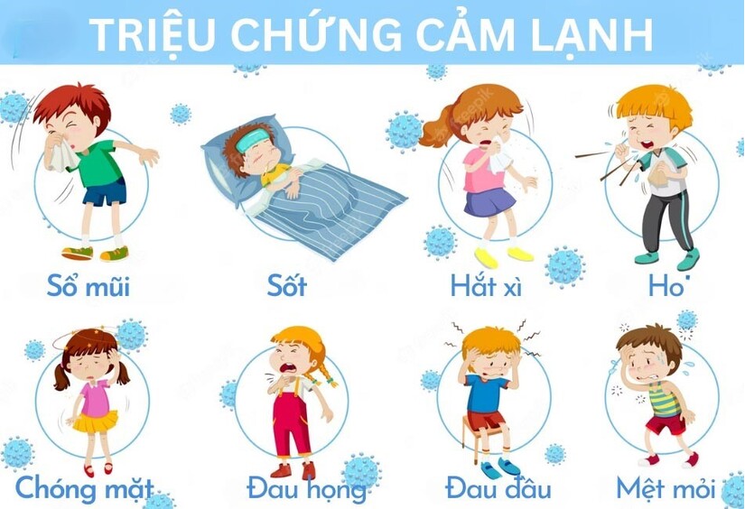 Hướng dẫn cách làm một số món ăn giải cảm tại nhà