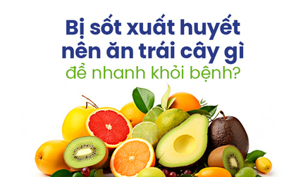 Bị sốt xuất huyết nên ăn trái cây gì để nhanh khỏi bệnh?