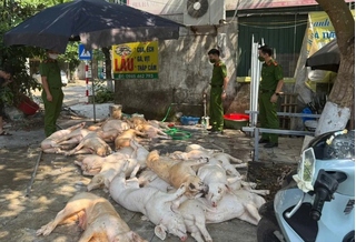 Phát hiện hơn 1 tấn thịt lợn ‘bẩn’ chuẩn bị đưa vào bếp ăn công nhân