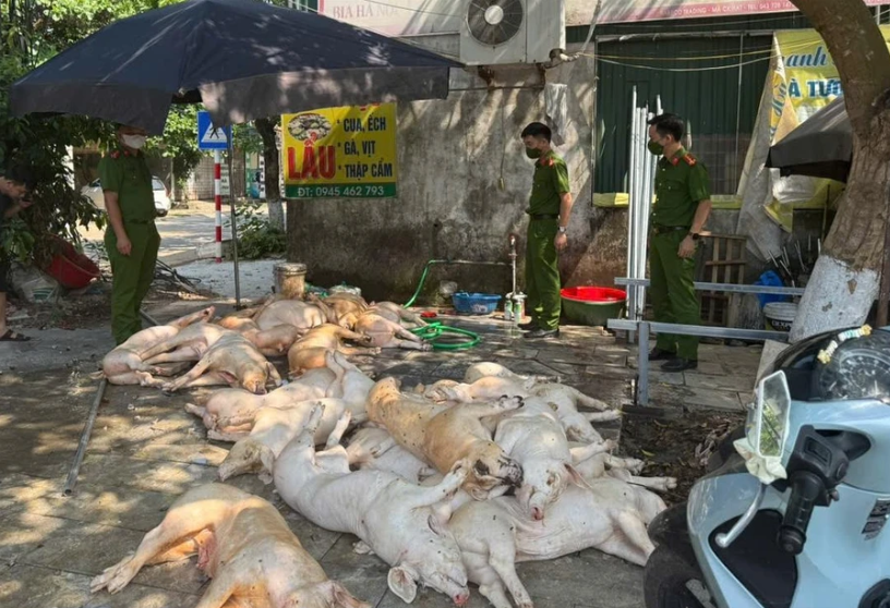 Phát hiện hơn 1 tấn thịt lợn ‘bẩn’ chuẩn bị đưa vào bếp ăn công nhân