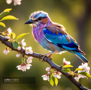 Người sinh ngày Âm lịch này, sinh ra đã ngậm thìa vàng, hạnh phúc nhân đôi, làm gì cũng kiếm được tiền