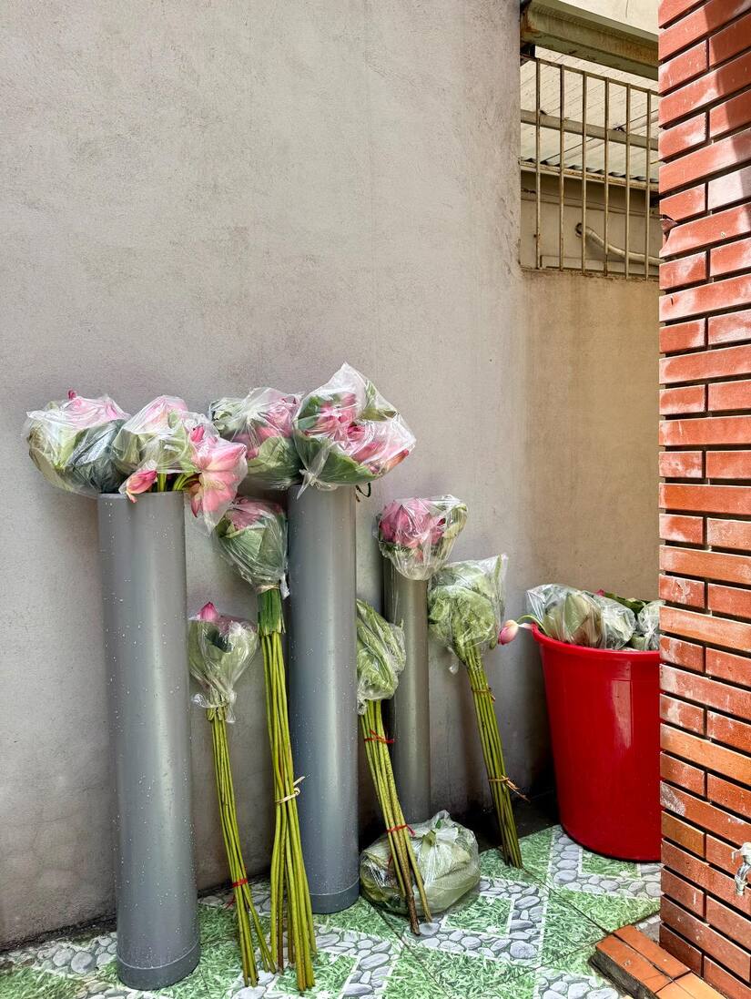 Mê mẩn không gian sống đầy ắp hoa sen của đôi bạn Hà Nội, Hải Phòng