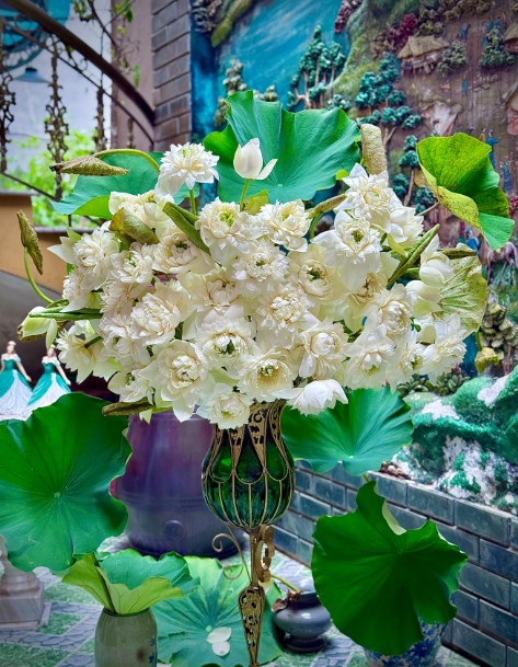 Mê mẩn không gian sống đầy ắp hoa sen của đôi bạn Hà Nội, Hải Phòng